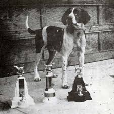 We did not find results for: Treeing Walker Coonhound Dog Breed Information