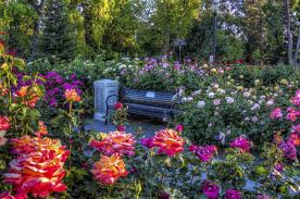 Pin On Spring Time