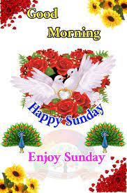 You know you had an amazing week. Happy Sunday Daizo Good Morning Happy Sunday Good Morning Happy Happy Sunday Quotes