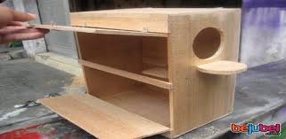 Bagi para pemula yang ingin mengawali ternak lovebird, dapat mencobanya dengan memelihara sepasang burung terlebih dahulu. Kumpulan Gambar Kandang Ternak Lovebird Dari Kayu Dan Almunium
