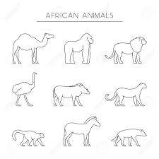 In fact, he would only. Vector Line Set Of African Animals Outline Dromedary Gorilla And Lion Line Icon Ostrich Warthog And Leopard Linear Zebra Lemur And Hyena Linear Silhouettes African Animals Isolated Royalty Free Cliparts Vectors And
