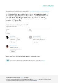 Image result for Tridactyle eggelingii