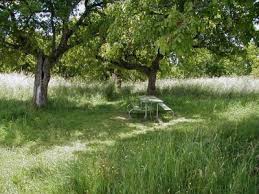 Powell butte is a great way to go mountain biking yet stay in reach of portland, oregon. Powell Butte Loop Hike Hiking In Portland Oregon And Washington