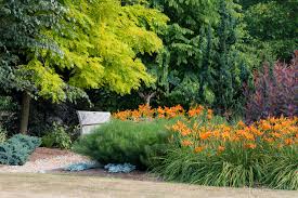Deer resistant flowering shrubs nj. What Does Deer Resistant Mean Le Jardinet