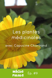 Au Dela De L Alimentation Locale Cultiver Son Jardin Permet Aussi Une Medecine Locale On Fait Le Top 5 Des Plantes Medicina Avec Images Plante Medicinale Plante Capucine