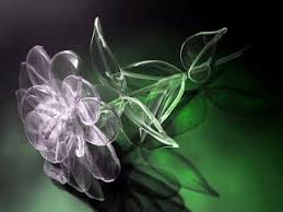 صور ورود 2020 اجمل صور زهور احلى صور ورود جميلة زينه flower images rose plants