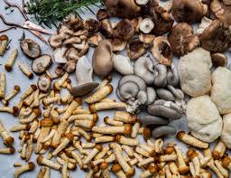 Fungi will grow on wood, dirt, paper and even soap scum. Philadelphia S Secret Underground Mushroom Farm Taste
