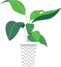 Singkong menjadi sumber karbohidrat yang bisa dijadikan pilihan sebagai makanan pokok maupun camilan. Lukisan Dekoratif Tanaman Daun Hijau Ikon Pot Datar Ai Eps Uidownload