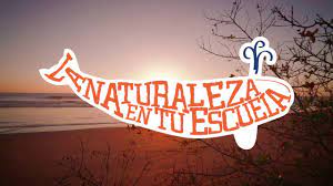 La Naturaleza Nos Llama Alianza Wwf Fundacion Telmex Telcel