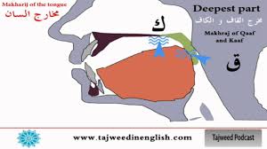 Tajweed Lesson 8 The Tongue Makhraj