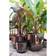 Pot Terre Cuite Emaillee Poterie D Albi Diam 30 X H 27 Cm Multicouleur Pot En Terre Cuite Jardinerie Truffaut Et Pot De Fleur Exterieur