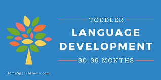 Language Development In Toddlers 30 36 Months