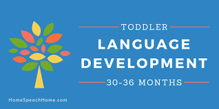 language development in toddlers 30 36 months