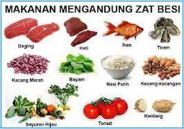 12 makanan penambah darah yang enak & ampuh atasi anemia 1. Tubuh Bebas Dari Anemia Dengan Mengonsumsi Maltofer My Mind Untaian Kata Untuk Berbagi