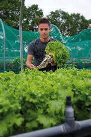 Int Food Agribusiness Horticulture And Business Management Lebensmitteltechnik Studieren An Der Has Fachhochschule Nahr Fachhochschule