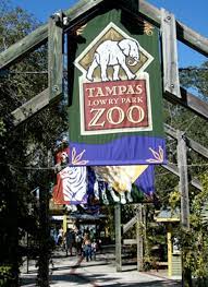 Ul Listed Omnihil White 10 Feet Long Ac Power Cord Compatible With Sony Gtk Pg10 Walmart Com Tampa Florida Tampa Florida Vacation