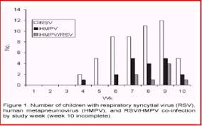 El virus respiratorio sincicial causa infecciones de los pulmones y en el aparato respiratorio. Novedades Sobre Virus Respiratorio Sincicial Medwave