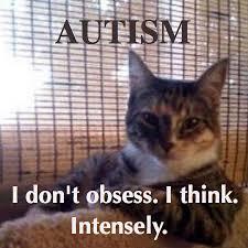 Cat Meme And Aspergers Cats Autism Cats And Kittens