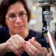 Barbara Golden (@barb_golden)