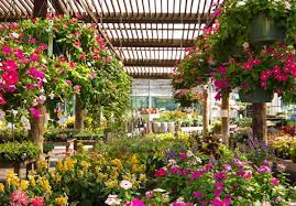 Best garden center petree s nursery greenhouse the taos news. Pin On Home Decor