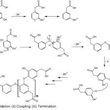 Your video will resume shortly. Pdf Electropolymerization Mechanisms Of Hydroxyphenylacetic Acid Isomers