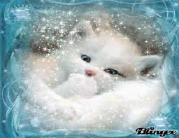 Https Encrypted Tbn0 Gstatic Com Images Q Tbn And9gcqyntmxrtshcrom Dncsdi0rrv Aiqbigpnzg Usqp Cau