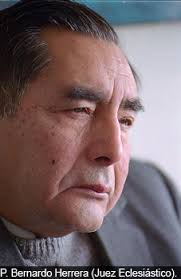 Iglesia valida acusaciones contra Karadima al sentenciar nulidad  matrimonial de Hamilton