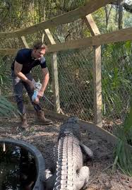 Image result for Nile Blue 1988 ARO