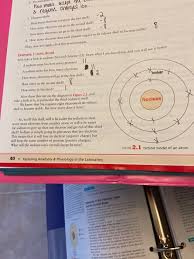 The magnesium atom with its total of 12 electrons thus occupies 2 electrons on the k shell and 8 electrons on the l shell. 2 Do Non Non Meals Accept The A Negative Charged Ion Chegg Com