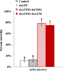 19905 hirsch ct ste 1 anderson ca 96007. Spray Method Application Of Transdermal Dsrna Delivery System For Efficient Gene Silencing And Pest Control On Soybean Aphid Aphis Glycines Springerlink