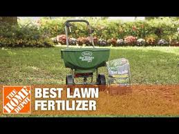 This Guide From The Home Depot Will Help You Figure Out Which Fertilizer Is Best For Your Lawn And How Often To Apply It For Bea Lawn Fertilizer Lawn Lawn Care