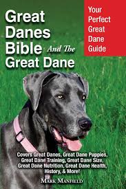 They are moderately playful, affectionate and good with children. Great Danes Bible And The Great Dane Your Perfect Great Dane Guide Covers Great Danes Great Dane Puppies Great Dane Training Great Dane Size Great Dane Health History More Manfield