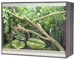 Terrarium vs Vivarium - What's the difference? | Evolution Reptiles