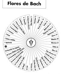 You can also request a free revision, if there are only slight inconsistencies in your order. 130 Pendulum Charts Ideas Pendulum Pendulum Dowsing Dowsing Chart