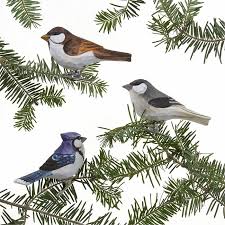 Carved Wood Bird Clip Ornaments Wood Clips Bird Christmas Ornaments Bird Ornaments