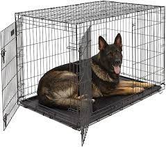 Amazon Com Xl Dog Crate Midwest Icrate Double Door Folding Metal Dog Crate W Divider Panel Xl Dog Breed Black Kong Pet Crate Pet Supplies