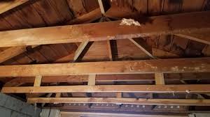 Nonparallel ceiling joist designs require additional support construction in the ceiling. Ceiling Joists Vs Rafter Ties Diy Home Improvement Forum