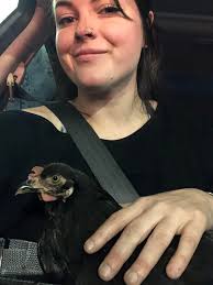 Everything Backyard Chicken!