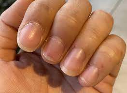 Pin On Nail Fashion And Art