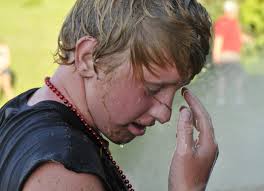 Kenyon Rose Fest: three days of great family fun