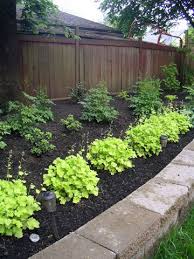 Landscape Design Idea Gallery Of Plants Landscape Design Plants Landscape