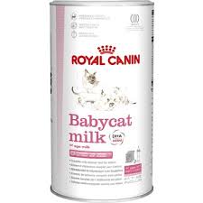 Royal Canin Babycat Milk Yavru Kedi Sut Tozu 300 Gr Fiyati