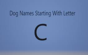 Think puppy names like charlie, cooper, and cleo…or word names like cookie, chief, and captain. Extraordinary Dog Names Starting With Letter C Both Male And Female Dogs