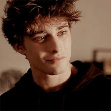 Academy of Werewolves and Vampires