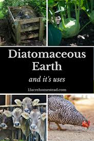 Diatomaceous Earth And Its Uses 15 Acre Homestead Diatomaceous Earth Organic Gardening Tips Homesteading