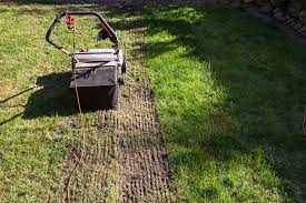 It is best to dethatch first before aerating your lawn. Why When And How To Dethatch Your Lawn