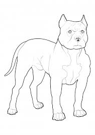 Free printable pitbull coloring pages. Pitbull Coloring Pages Dogs Coloring Pages Colorings Cc