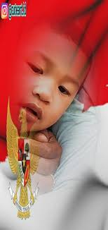 BONKLA(bonsai kelapa JEMBRANA) BALI.