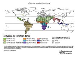 Who Vaccination Timing