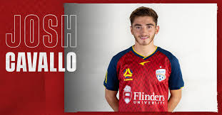 So, attribution is not required. Reds Sign Cavallo For Remainder Of The Season Adelaide United